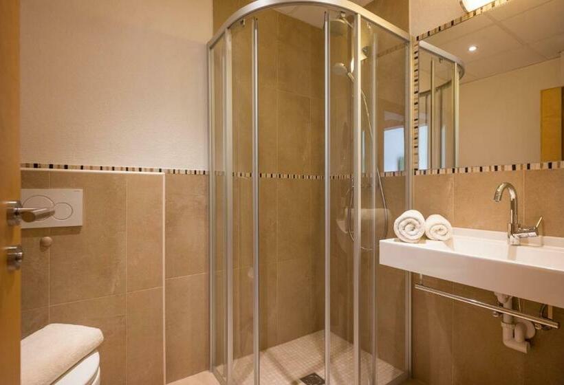 Классический Номер, Alpenhof Hotel Garni Suprême