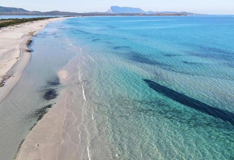آپارتمان 1 خوابه, Iss Travel Apartaments, Via Del Tirreno 300 M From La Cinta Beach