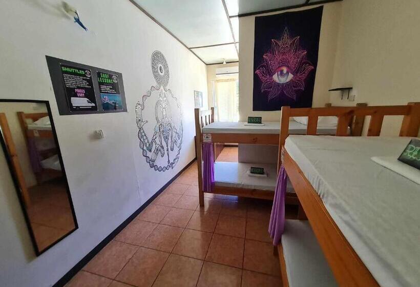 Кровать в Общей Комнате, Slow Monkey Hostel
