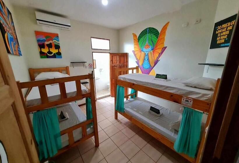 Кровать в Общей Комнате, Slow Monkey Hostel