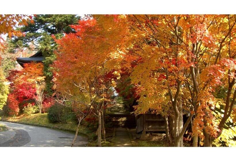 استودیوی استاندارد, Spa Hotel Alpina Hida Takayama   Vacation Stay 08476v