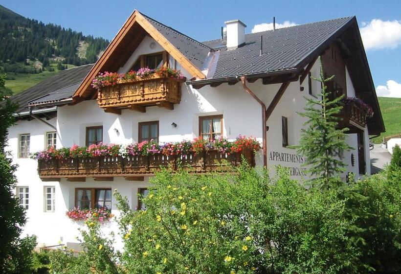 Апартаменты 1 Спальня, Appartement Platzergasse