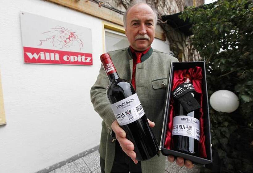 Номер Basic с Балконом, Wein & Landhaus Willi Opitz