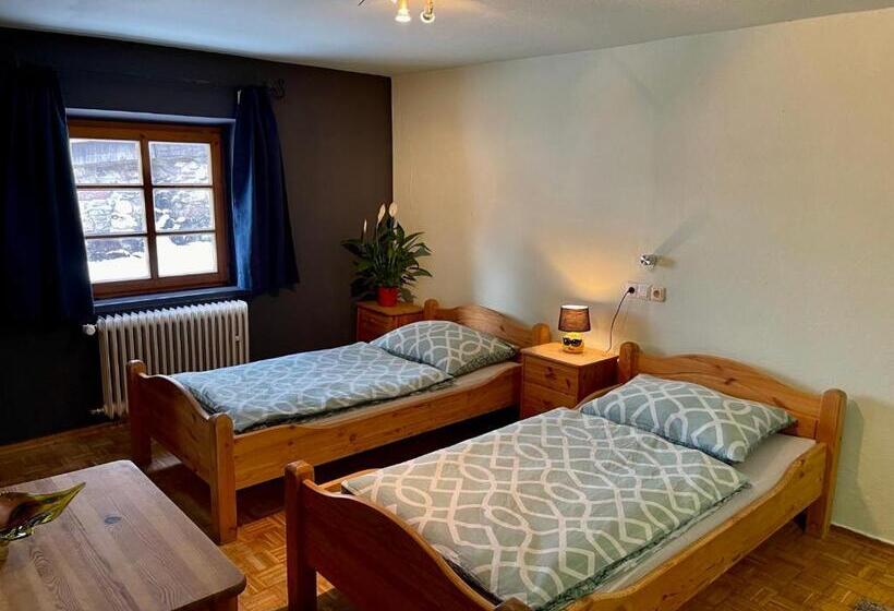 اتاق استاندارد با سرویس بهداشتی مشترک, Ciao Amore St. Anton