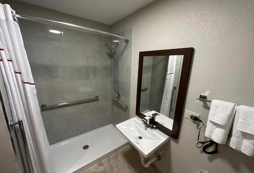 장애인을 위한 킹사이즈 침대 스탠다드 룸, Red Roof Inn Charleston   Dunbar