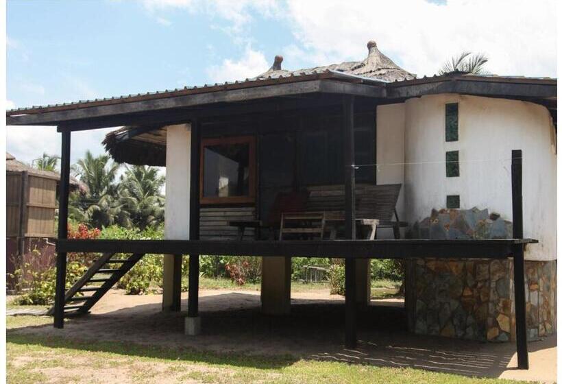 家庭间, Fantas Folly Beach Lodge