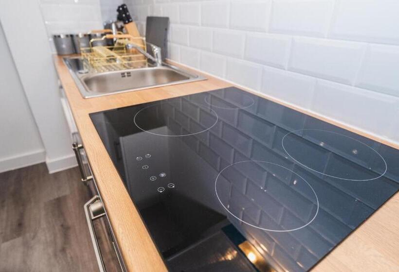 Апартаменты Superior 1 Спальня, Vichy   The Thornhill Delux Apartments