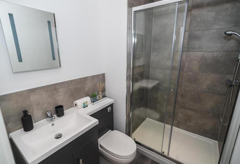 Апартаменты Superior 1 Спальня, Vichy   The Thornhill Delux Apartments