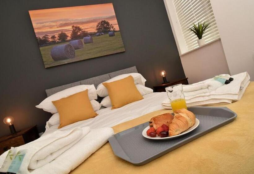 آپارتمان 1 خوابه همکف, Chester Road Serviced Apartments