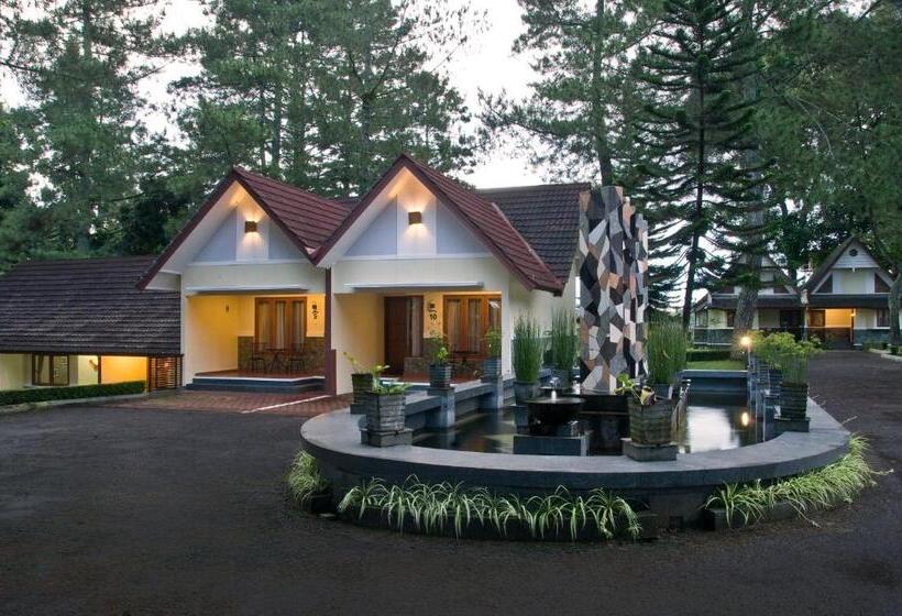 Номер Стандарт, Pangrango Resort