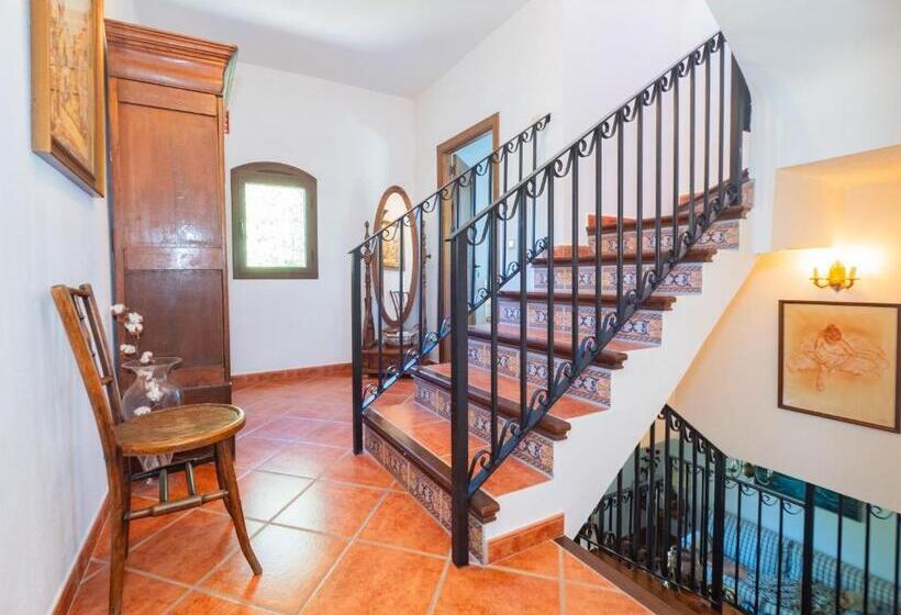 Четырехместный Номер Стандарт, Cubo S 2 Rooms La Cimada Near Ronda