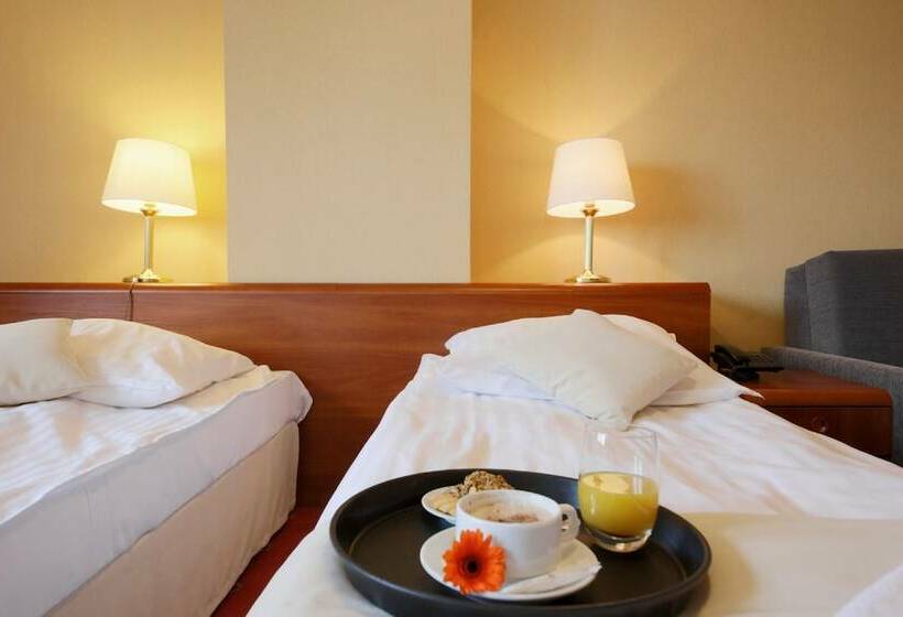 Номер Стандарт, Dwór Bogucin Hotel&restauracja
