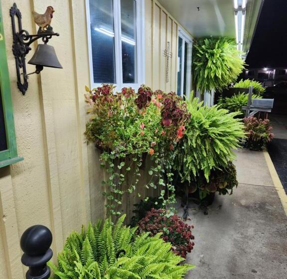 豪华房间, Homestead Motel