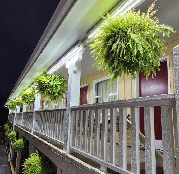 豪华房间, Homestead Motel