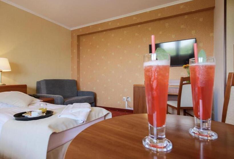 Семейный Номер, Dwór Bogucin Hotel&restauracja