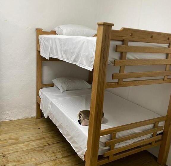 Четырехместный номер эконом класса с общей ванной комнатой, Origen Hostel Jardín