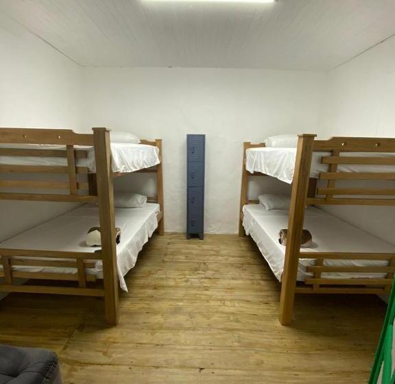 Четырехместный номер эконом класса с общей ванной комнатой, Origen Hostel Jardín