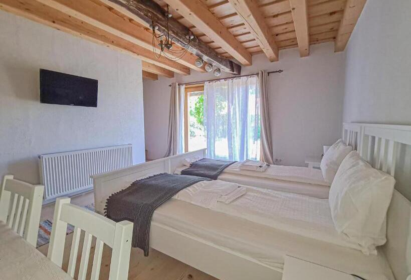 Дом 4 Спальни, Haus Rether   Transylvanian Guesthouse