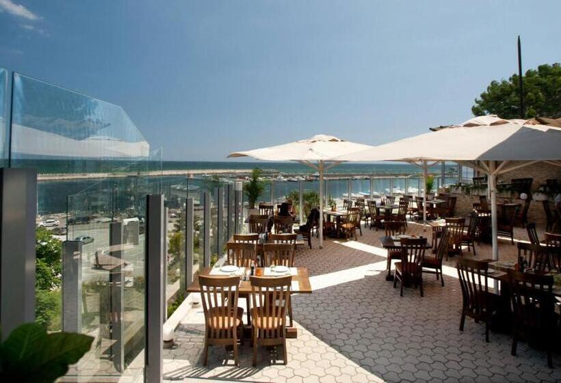 استودیوی استاندارد, Studio Bel Air Paradise