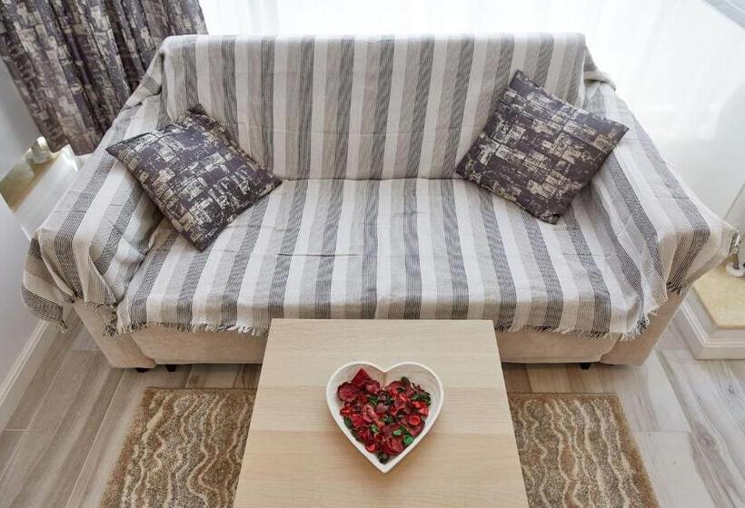 استودیوی استاندارد, Studio Bel Air Paradise