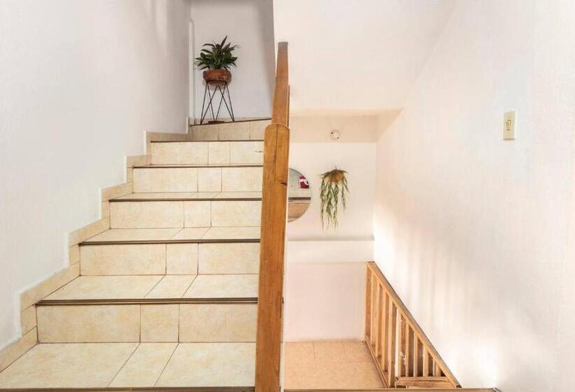 Номер Стандарт Трехместный, Letto Hostal