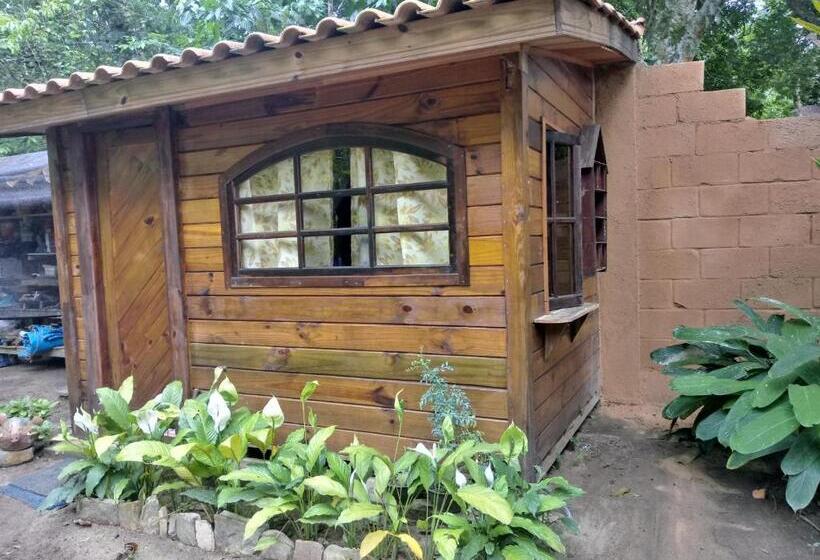 Номер Стандарт, Acorde Eco