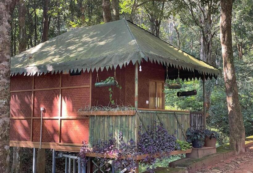 Номер Economy, 900 Woods Wayanad Eco Resort   A Sprawling Jungle Stay Near Glass Bridge