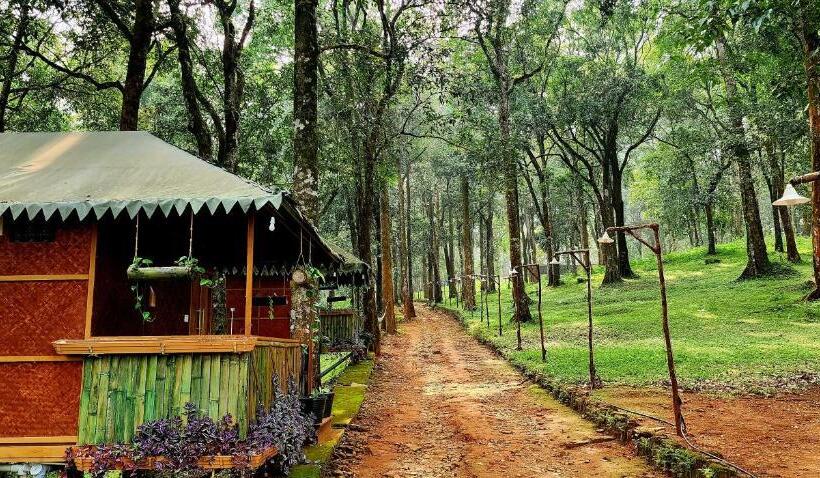 Номер Economy, 900 Woods Wayanad Eco Resort   A Sprawling Jungle Stay Near Glass Bridge