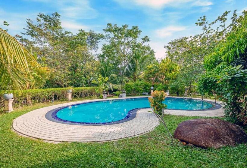 Стандартный Номер Кровать Кинг, Amandro Resort