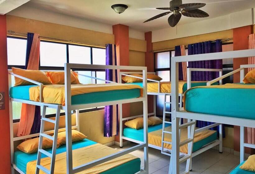 Кровать в Общей Комнате, Sandy Toes Hostel