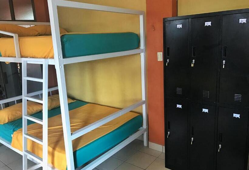 Кровать в Общей Комнате, Sandy Toes Hostel