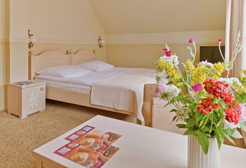 غرفة كومفورت, Afrodyta Spa & Wellness Resort