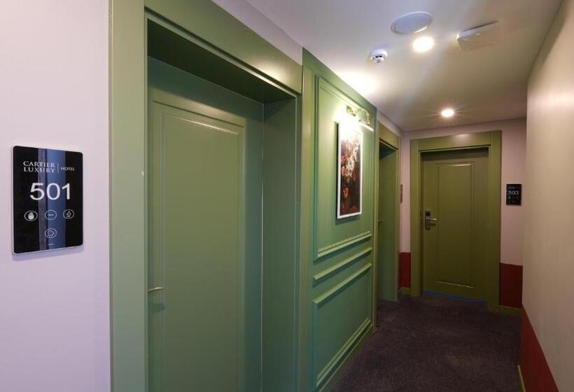 Люкс Повышенной Комфортности, Carti̇er Luxury Otel