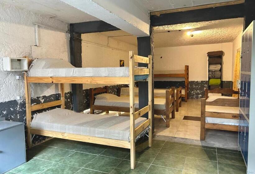 Кровать в Общей Комнате, Hostel Bohemian
