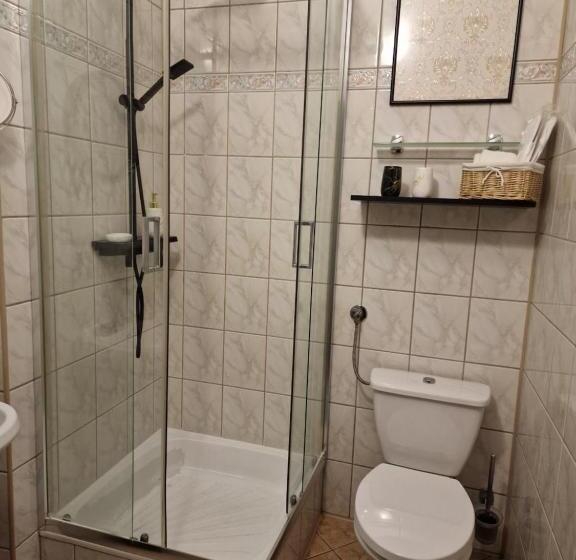 带大床的高级房间, Cieszyński Stare Miasto Suites