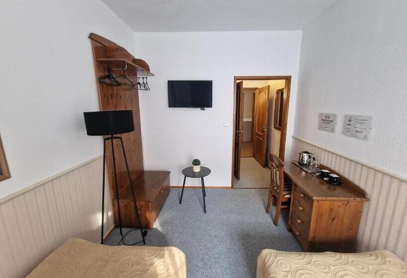 Номер Superior Одноместный, Cieszyński Stare Miasto Suites