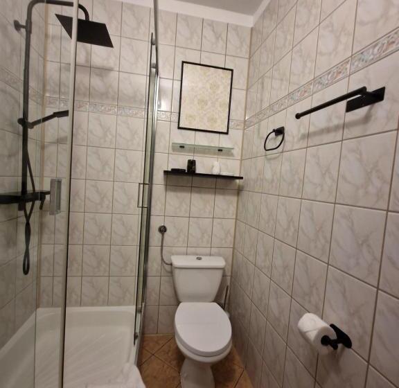Номер Superior Вид на Город, Cieszyński Stare Miasto Suites