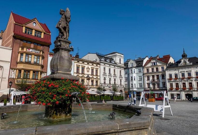 Номер Superior Кровать Кинг, Cieszyński Stare Miasto Suites