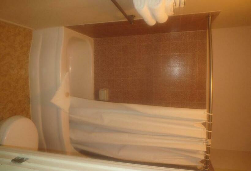 Номер Стандарт, Downtowner Inn