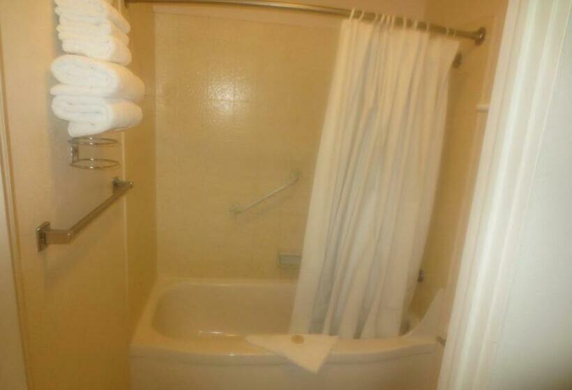 Номер Economy, Downtowner Inn