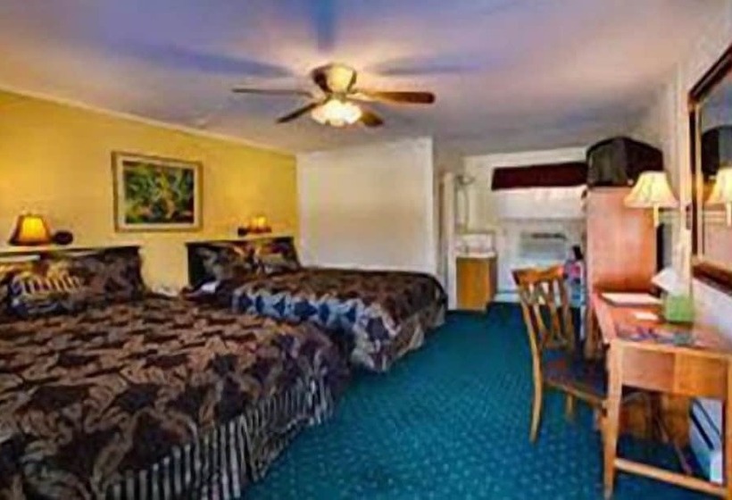 Номер Стандарт, Downtowner Inn