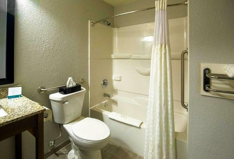 스탠다드 룸 킹사이즈 침대, Quality Inn & Suites Hammond Near I 8090