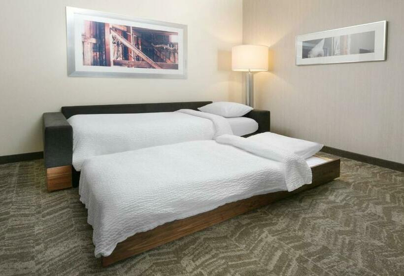 标准工作室, Springhill Suites By Marriott San Antonio Northwest At The Rim