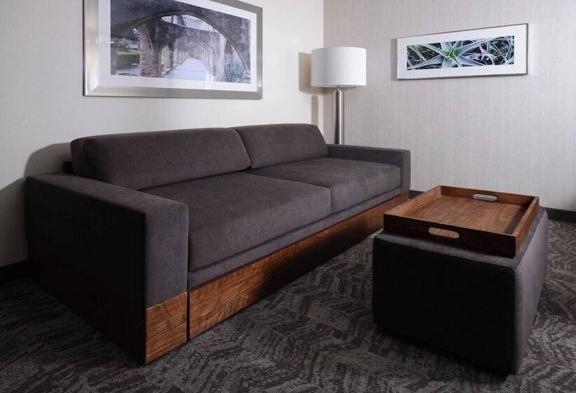 标准工作室, Springhill Suites By Marriott San Antonio Northwest At The Rim