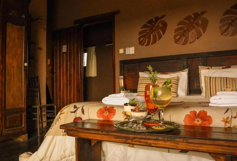 标准三人间, Posada Punta De Piedra