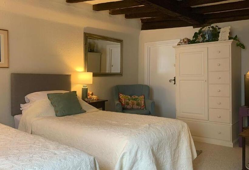 豪华房间, The Totnes Guest House. Upstairs At Zappa S