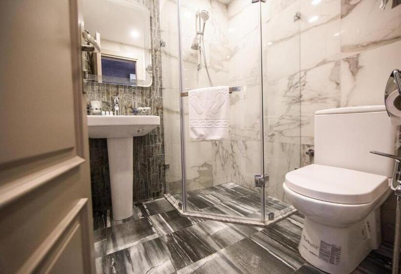 豪华房间, Passage Modern Hotel Baku