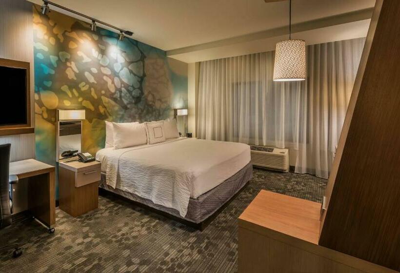 اتاق استاندارد با تخت بزرگ, Courtyard By Marriott Reno Downtown/riverfront
