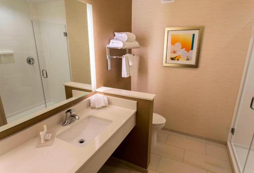 带大床的标准间, Fairfield Inn & Suites By Marriott Geneva Finger Lakes