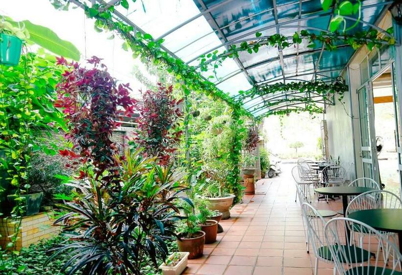 اتاق استاندارد با تخت بزرگ, Catba Central Hotel 2